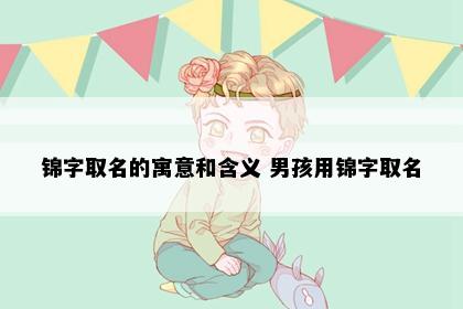 锦字取名的寓意和含义 男孩用锦字取名