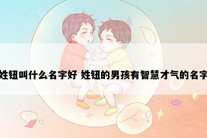 姓钮叫什么名字好 姓钮的男孩有智慧才气的名字