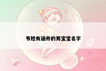 韦姓有涵养的男宝宝名字