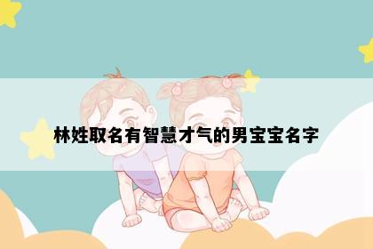 林姓取名有智慧才气的男宝宝名字