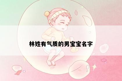 林姓有气质的男宝宝名字