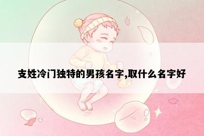 支姓冷门独特的男孩名字,取什么名字好