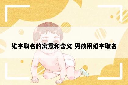 维字取名的寓意和含义 男孩用维字取名