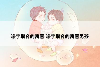 崧字取名的寓意 崧字取名的寓意男孩