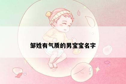 邹姓有气质的男宝宝名字