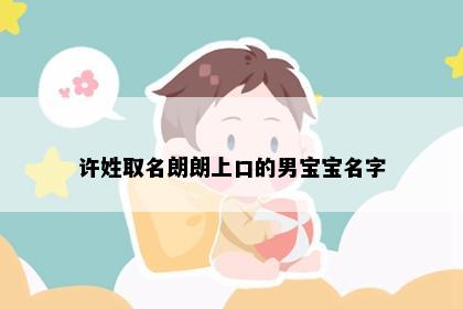许姓取名朗朗上口的男宝宝名字