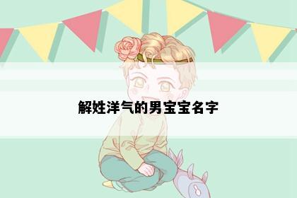 解姓洋气的男宝宝名字