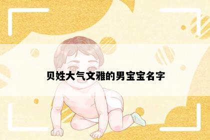 贝姓大气文雅的男宝宝名字