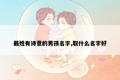 戴姓有诗意的男孩名字,取什么名字好