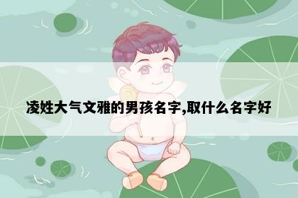 凌姓大气文雅的男孩名字,取什么名字好