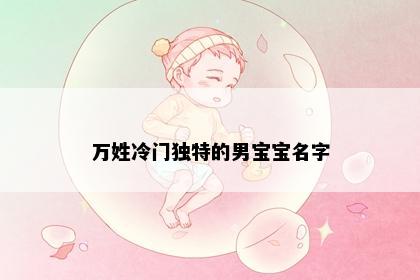 万姓冷门独特的男宝宝名字