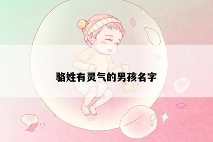 骆姓有灵气的男孩名字