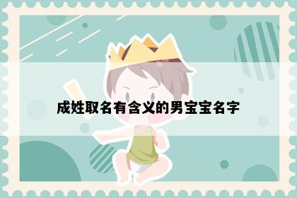 成姓取名有含义的男宝宝名字