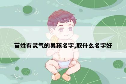 苗姓有灵气的男孩名字,取什么名字好