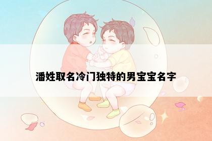 潘姓取名冷门独特的男宝宝名字