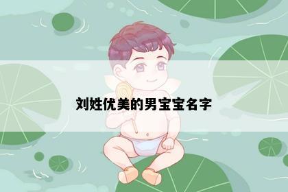 刘姓优美的男宝宝名字