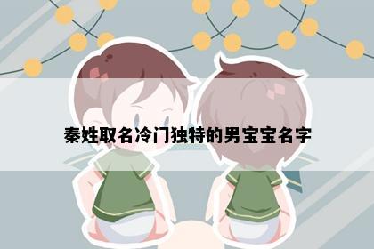秦姓取名冷门独特的男宝宝名字