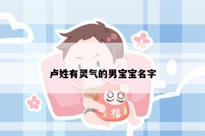 卢姓有灵气的男宝宝名字