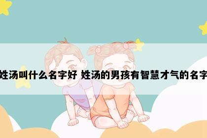 姓汤叫什么名字好 姓汤的男孩有智慧才气的名字