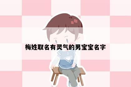 梅姓取名有灵气的男宝宝名字