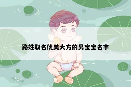 路姓取名优美大方的男宝宝名字