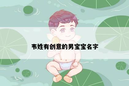 韦姓有创意的男宝宝名字