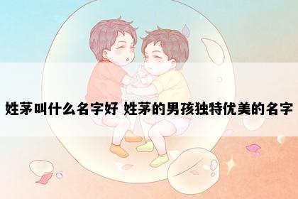 姓茅叫什么名字好 姓茅的男孩独特优美的名字