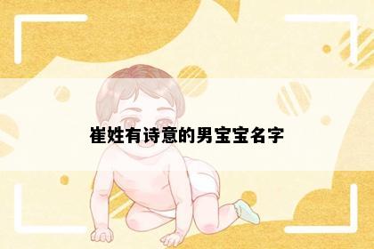 崔姓有诗意的男宝宝名字