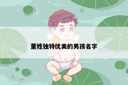 董姓独特优美的男孩名字