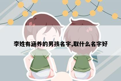 李姓有涵养的男孩名字,取什么名字好