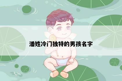 潘姓冷门独特的男孩名字