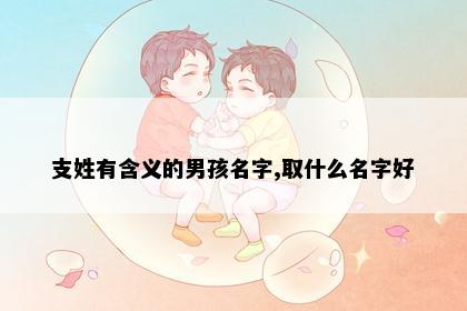 支姓有含义的男孩名字,取什么名字好