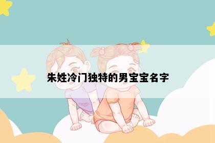 朱姓冷门独特的男宝宝名字