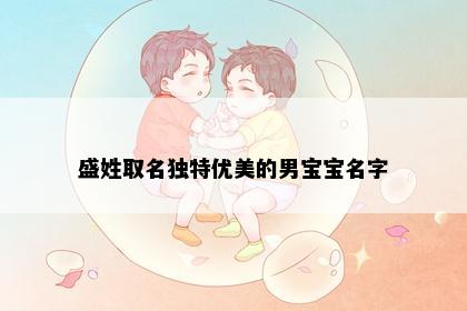 盛姓取名独特优美的男宝宝名字