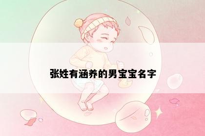 张姓有涵养的男宝宝名字