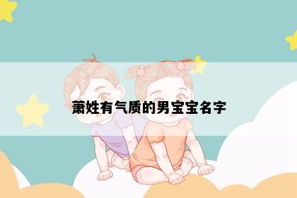 萧姓有气质的男宝宝名字