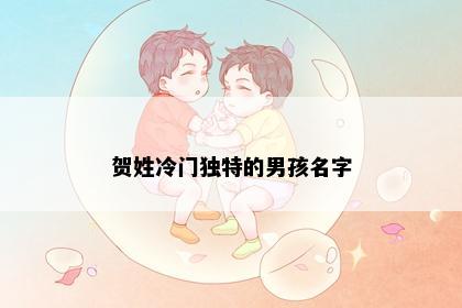 贺姓冷门独特的男孩名字