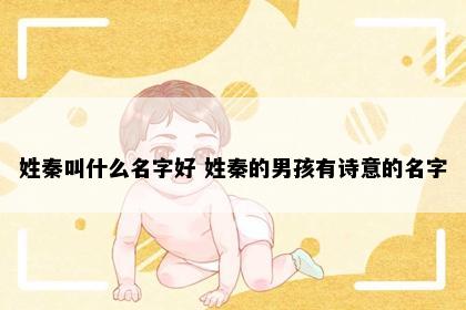 姓秦叫什么名字好 姓秦的男孩有诗意的名字