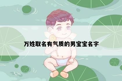 万姓取名有气质的男宝宝名字