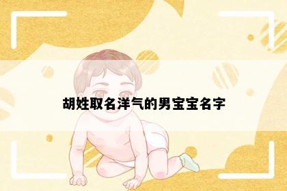 胡姓取名洋气的男宝宝名字
