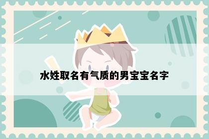 水姓取名有气质的男宝宝名字